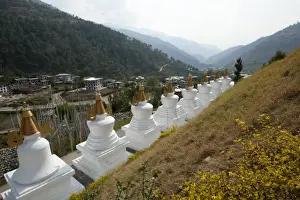Burial Ground Prints: Row of white chortens at the entrance to Rangjung Buddhist monastery in the beautiful