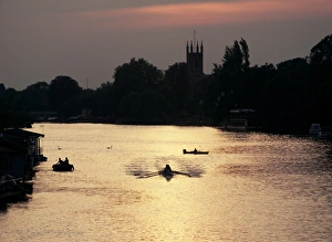 Rowing Prints: Rowers on River Thames with church tower beyond, Hampton, Greater London