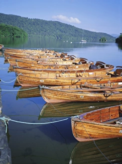 Rowing Boat Prints: Rowing boats and lake Windermere, Bowness on Windermere, Lake District National Park