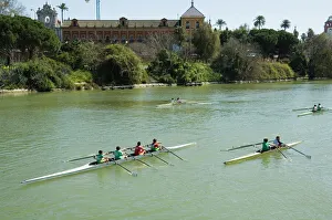 Sport Prints: Rowing on the river Rio Guadalquivir