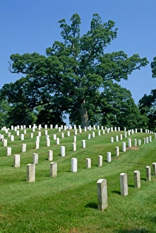 Arlington Prints: Rows of headstones on graves in the Arlington Cemetery