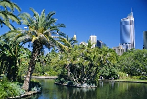 Royal Botanic Garden Prints: Royal Botanic Gardens, Sydney, Australia