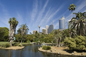 Royal Botanic Gardens, Sydney, New South Wales, Australia, Pacific