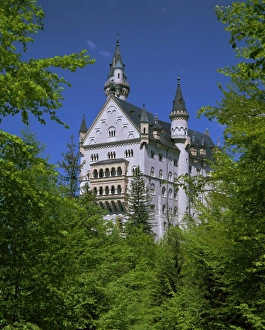 Royal castle