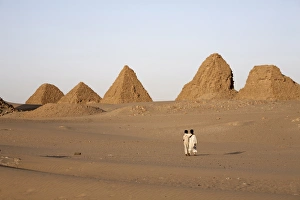 Images Dated 9th January 2000: The royal cemetery of Nuri