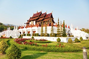 Floral Prints: Royal Flora Ratchaphruek Park, Chiang Mai, Thailand