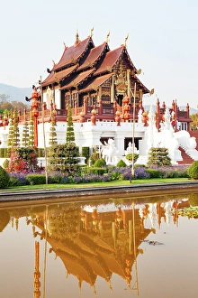 Lotus Prints: Royal Flora Ratchaphruek Park, Chiang Mai, Thailand