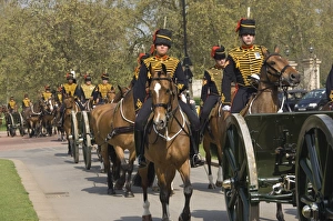 Uniform Prints: The Royal Horse Artillary in Hyde Park, London, England, United Kingdom, Europe