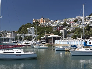 Wellington Prints: Royal Port Nicholson Yacht Club marina and St