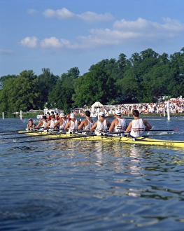 Royal Regatta, Henley on Thames, Oxfordshire, England, United Kingdom, Europe