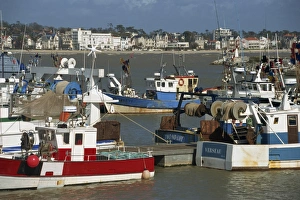 Charente Maritime Prints: Royan, Charente Maritime, Poitou Charentes, France, Europe