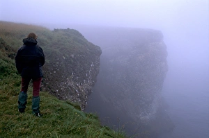 RSPBs Fowlsheug Bird and Nature Reserve