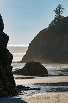Silhouetted Gallery: Ruby Beach in the Olympic National Park, UNESCO World Heritage Site, Pacific Northwest coast
