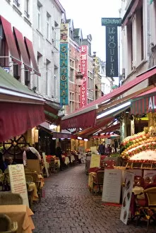 Images Dated 17th April 2009: Rue des Bouchers, near Grand Place, Brussels, Belgium, Europe
