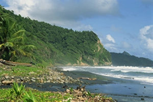 Black Sand Prints: Rugged coastline with black laval sand beach