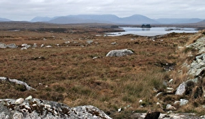 Connacht Prints: Rugged landscape of Connemara with peat bogs