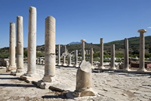 Pedestal Prints: Ruined colonnaded Main Street, Patara