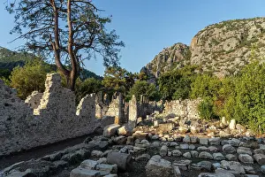 Preserved Prints: Ruins of ancient Olympos near the beach of Ireli in Turkey showcase historical stones and trees in a lush landscape