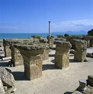 Images Dated 7th December 2011: Ruins of ancient Roman baths, Antonine Baths, Carthage, UNESCO World Heritage Site