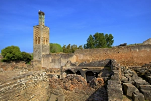 Rabat Prints: The ruins of Chellah with minaret, Rabat, Morocco, North Africa, Africa