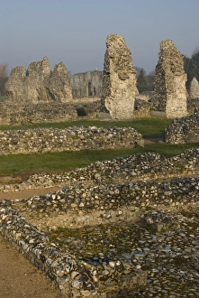 Priories Prints: Ruins of Cluniac priory, Thetford, Norfolk, England, United Kingdom, Europe
