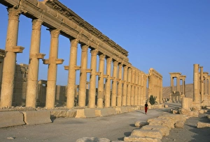 Palmyra Prints: Ruins of the colonnade