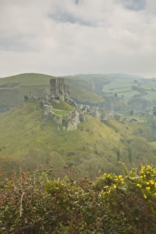 The ruins of Corfe Castle, Dorset, England, United Kingdom, Europe