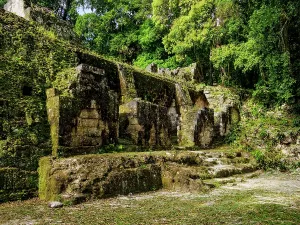 Adventures Prints: Ruins of Group G at Acanaladuras Palace in Tikal show remnants of ancient structures surrounded by jungle greenery