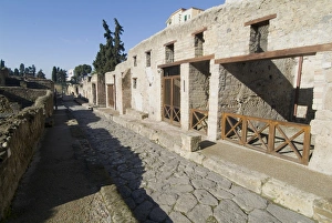 The ruins of Herculaneum