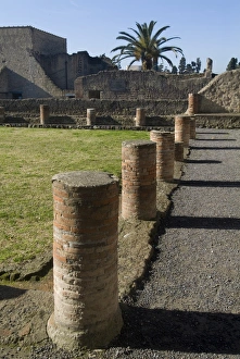 The ruins of Herculaneum