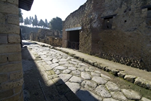 The ruins of Herculaneum