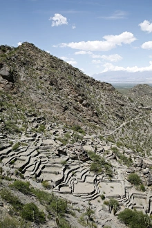 Salta Province Prints: Ruins of Quilmes, Salta Province, Argentina, South America