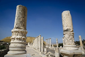 Ruins of the Roman-Byzantine city of Scythopolis, Tel Beit Shean National Park, Beit Shean, Israel, Middle East