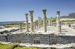 Cadiz Gallery: Ruins of Roman town of Baelo Claudia
