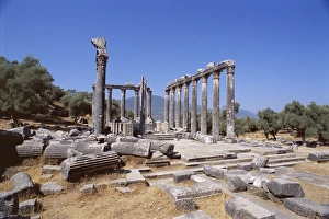 Temple Of Zeus Prints: Ruins of the Temple of Zeus