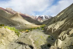 Dirt Prints: Rumbak valley, Hemis National Park, Ladakh region, state of Jammu and Kashmir, India, Asia