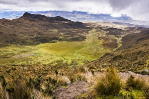 Ruminahui Volcano Valley, Cotopaxi National Park, Avenue of Volcanoes, Ecuador, South