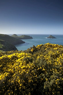 The Rumps Prints: The Rumps, Cornwall, England, United Kingdom, Europe