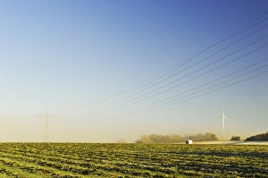 Power Line Prints: Rural autumn scene with morning fog