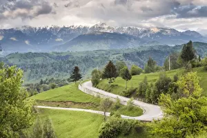 Transylvania Prints: Rural countryside and Carpathian Mountains near Bran Castle at Pestera, Transylvania