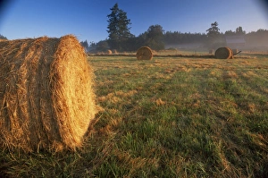 Images Dated 29th January 2000: Rural landscape