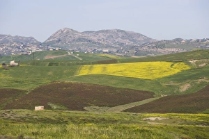 Agrigento Prints: Rural landscape near Agrigento
