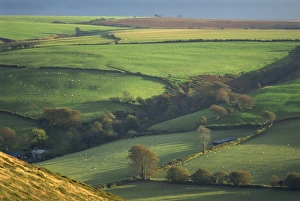 Exmoor Prints: Rural landscape near Oare, Exmoor, Somerset, England, United Kingdom, Europe