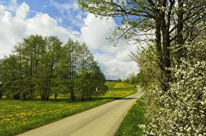 Saxony Prints: Rural scene in spring, Vogtland, Saxony, Germany, Europe