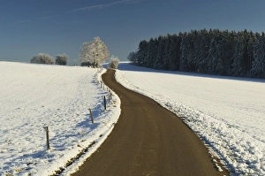 Villingen Schwenningen Prints: Rural winter scene, near Villingen-Schwenningen, Baden-Wurttemberg, Germany, Europe