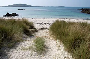 Shore Line Prints: Rushy Bay, Bryher, Isles of Scilly, United Kingdom, Europe