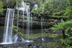 Australasian Prints: Russell Falls, Mount Field National Park, UNESCO World Heritage Site, Tasmania