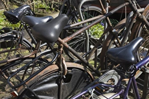 Images Dated 7th April 2008: Rusty bicycles, Amsterdam, Netherlands, Europe