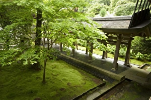 Japanese Gallery: Ryoanji temple moss garden