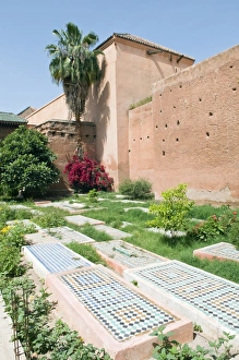 Over Grown Prints: Saadian tombs, Marrakech, Morocco, North Africa, Africa